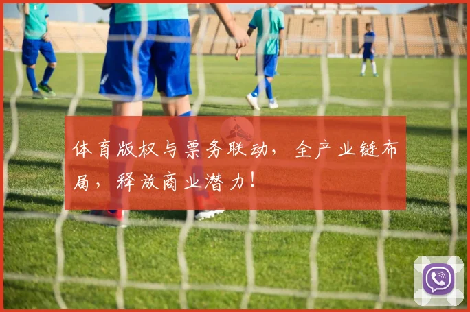 体育版权与票务联动，全产业链布局，释放商业潜力！