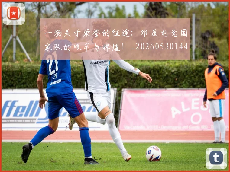 一场关于荣誉的征途：印度电竞国家队的艰辛与辉煌！_20260530144128